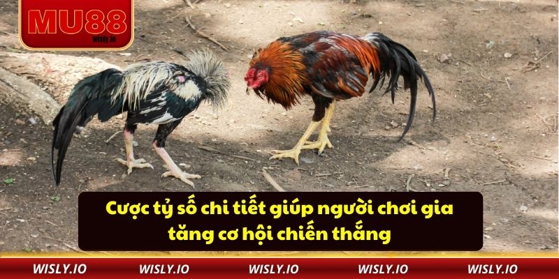 Cược tỷ số chi tiết giúp người chơi gia tăng cơ hội chiến thắng