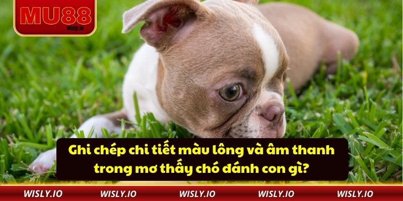 Ghi chép chi tiết màu lông và âm thanh trong mơ thấy chó đánh con gì?