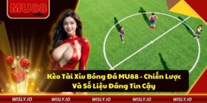 Kèo Tài Xỉu Bóng Đá MU88 - Chiến Lược Và Số Liệu Đáng Tin Cậy