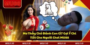 Mơ thấy chó đánh con gì?